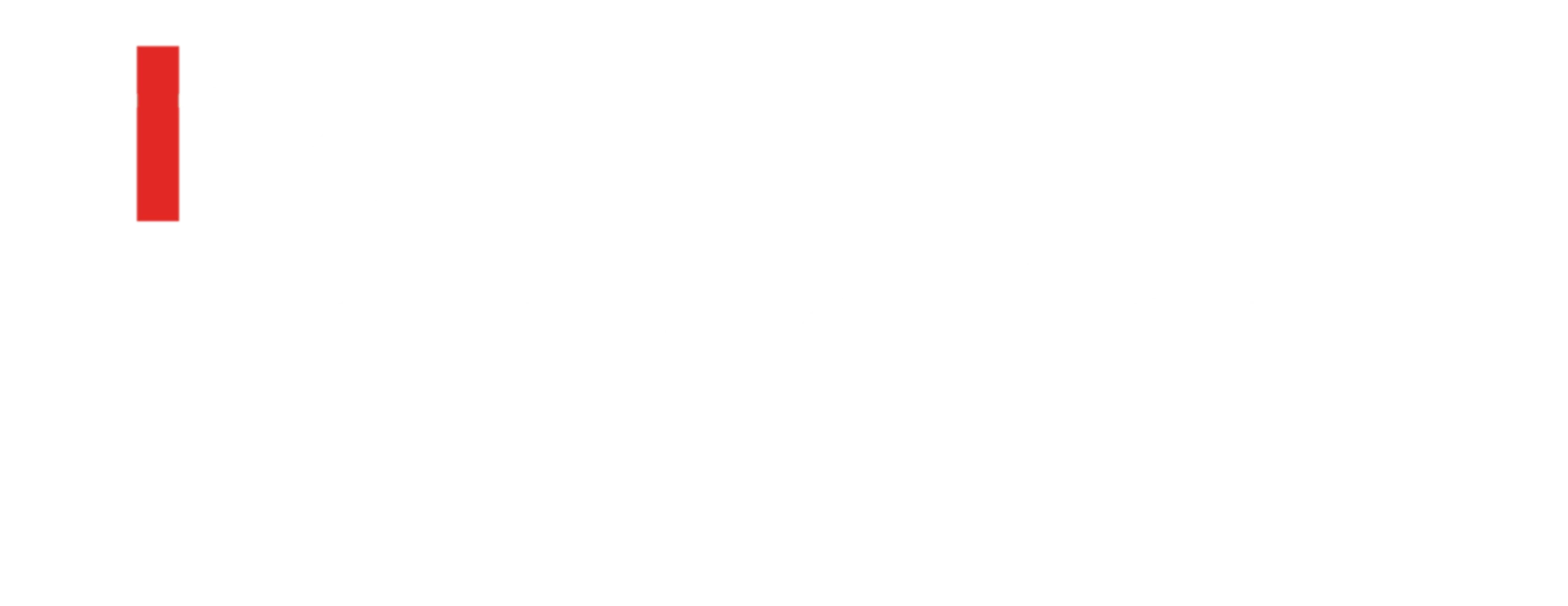 The Newsetter